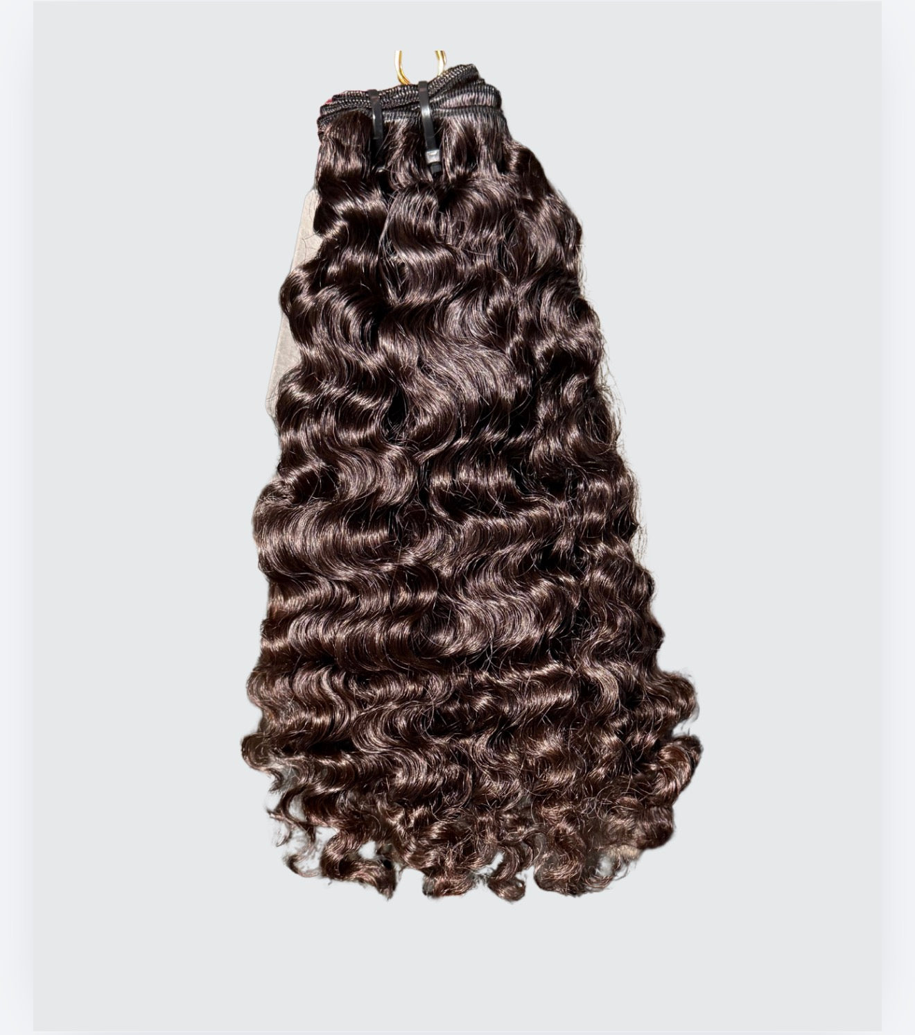 Raw Burmese Curl